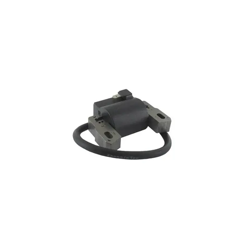 Bobine d‘allumage BRIGGS ET STRATTON 802574 – 492416 – 493237 – 695711 – 796964 Offre Du Jour