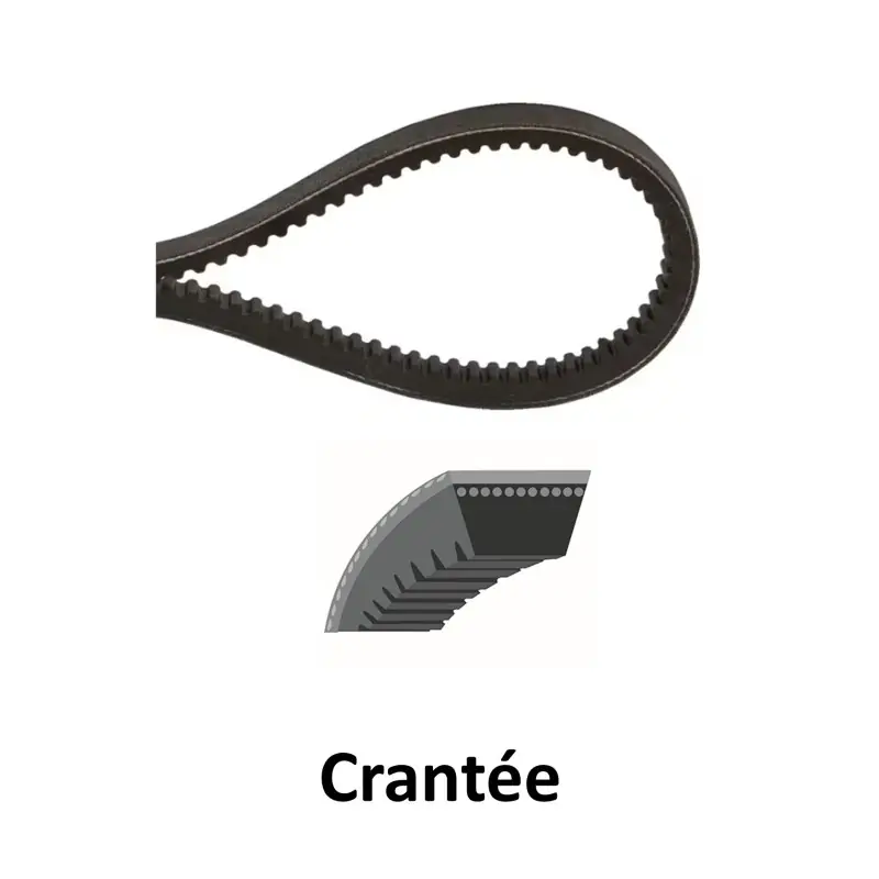 00292-74110 – Courroie de Traction pour Tondeuse KUBOTA Commande En Gros