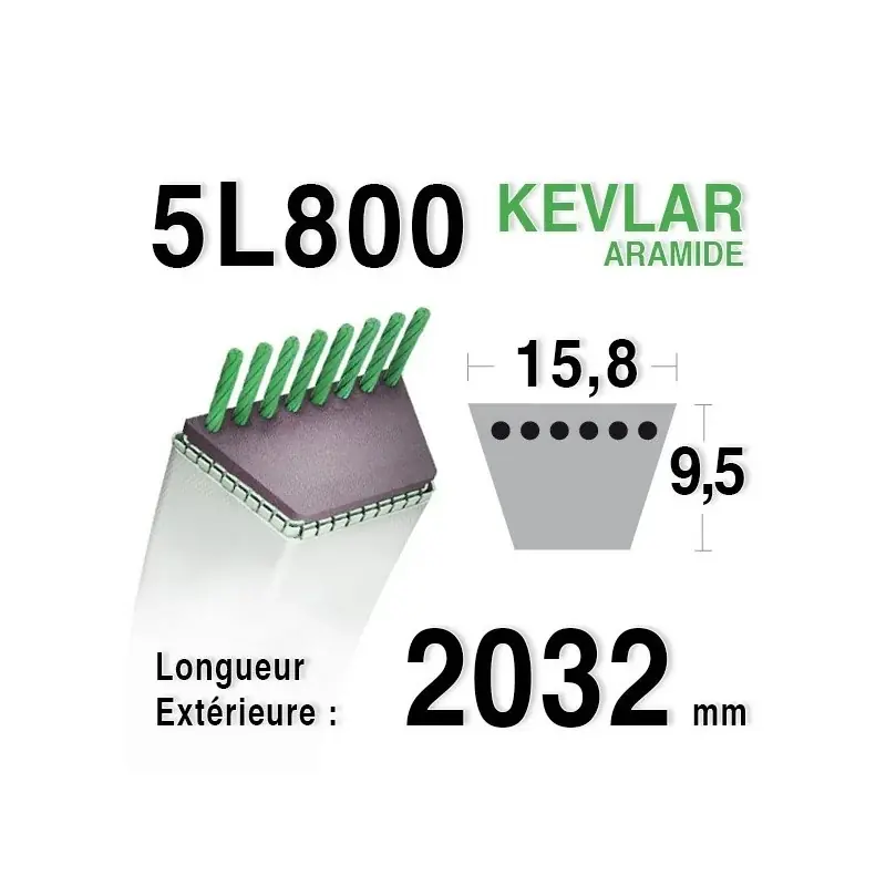 Dernier Modèle Courroie 5L800 – 5L80 AMF – NOMA 308701