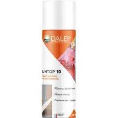 Commande En Gros Aérosol décapant peinture 500ml Paintop 10 – DALEP – 710001
