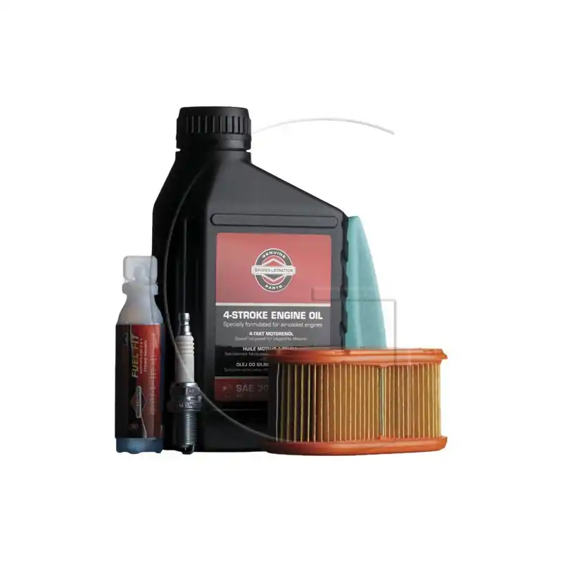 Kit d‘entrerien BRIGGS & STRATTON DOV 700 Series 750 Series I/C & DOV I/C Remise
