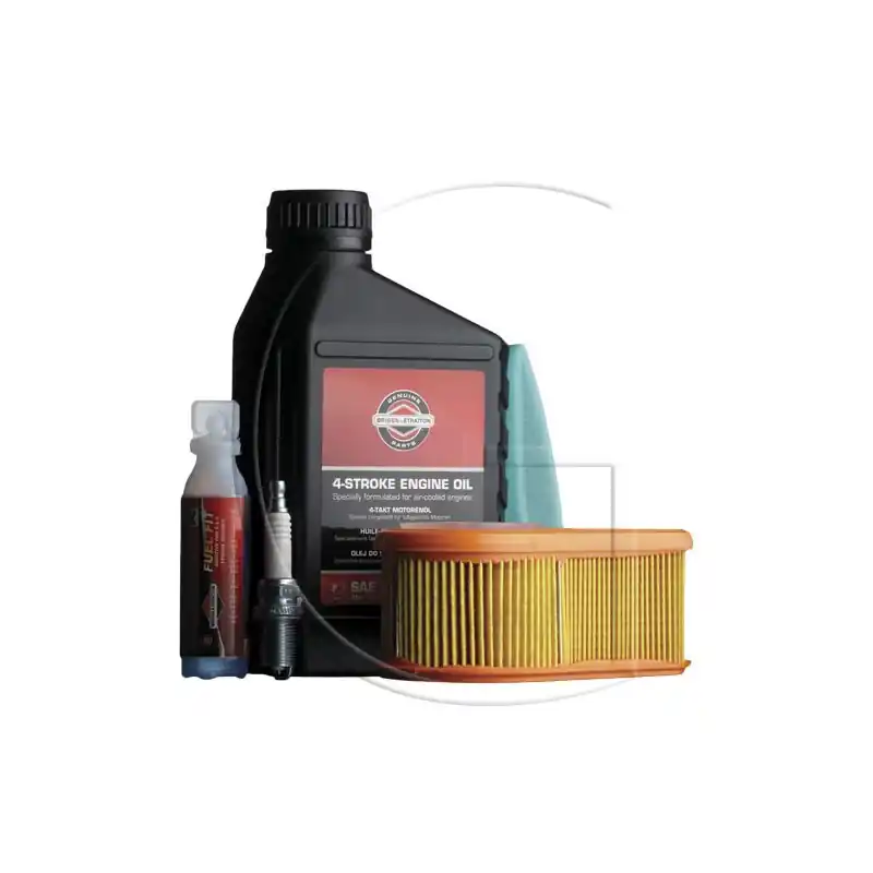 Kit d‘entrerien BRIGGS & STRATTON 992235 Bon Plan