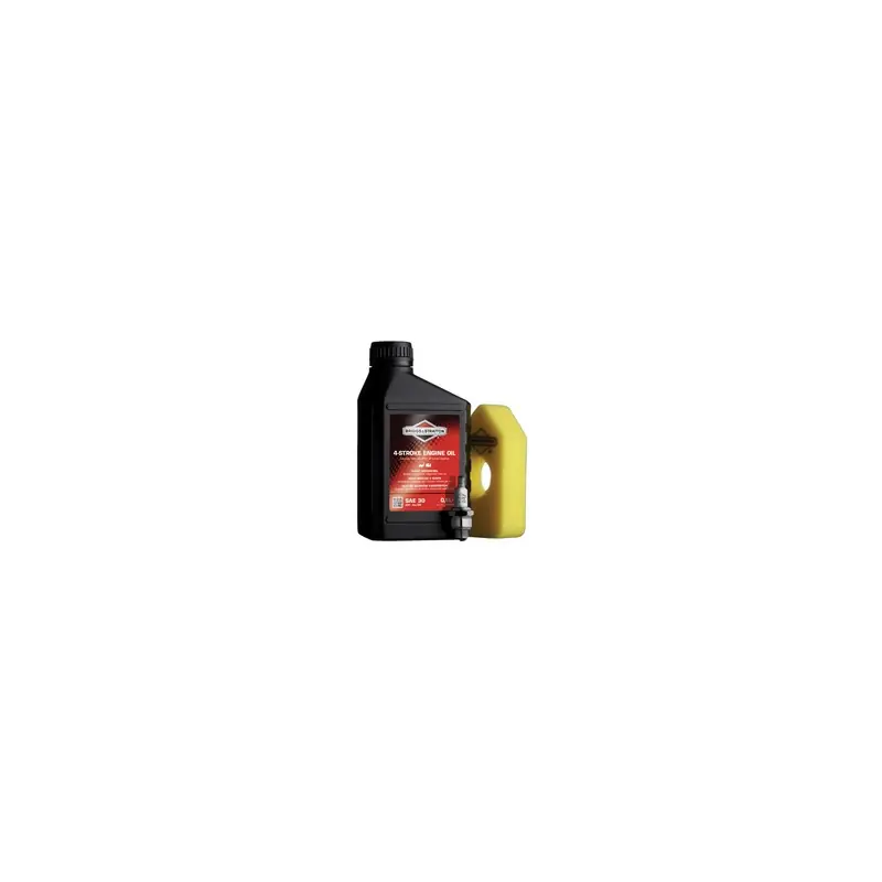 Bon Marché Kit d‘entrerien BRIGGS & STRATTON Classic Sprint 450 Series 550 Series