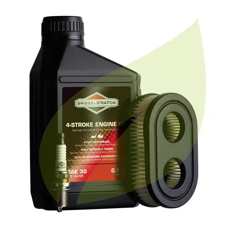 Kit d‘entretien BRIGGS & STRATTON Pour 550E Series, 575EX Series, 550EX Series Prix Réduit