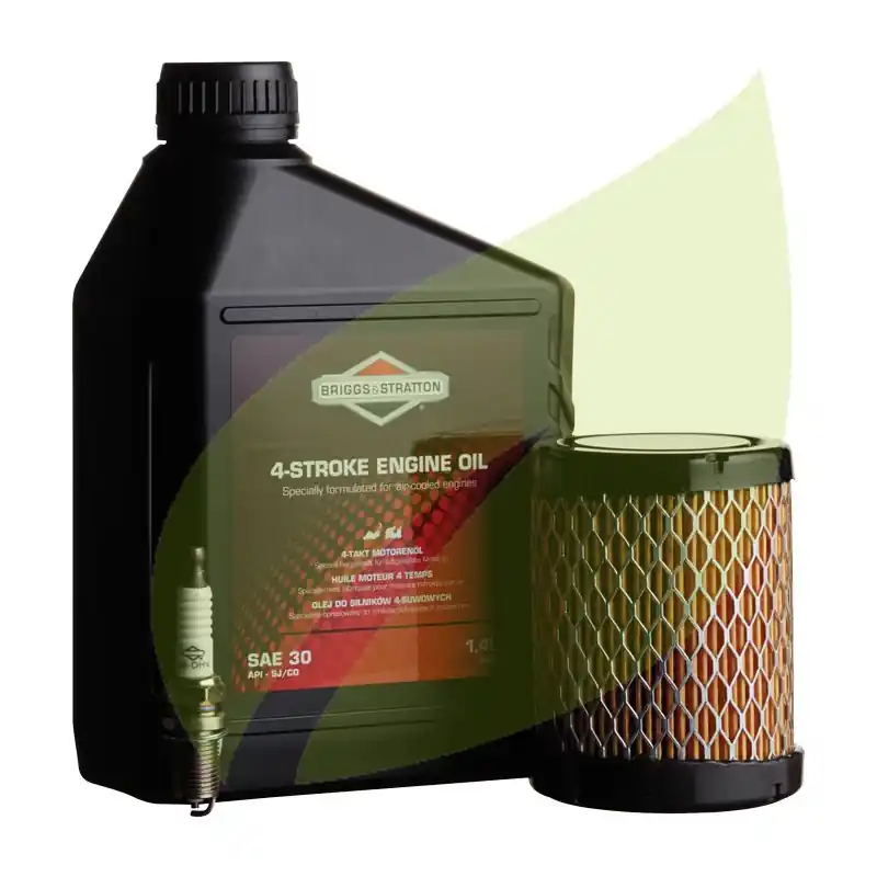 Commande En Gros Kit d‘entretien BRIGGS & STRATTON Pour Model 21, Series 3 Powerbuilt, Intek