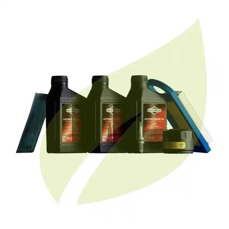 Offre Du Jour Kit d‘entretien BRIGGS & STRATTON Pour Model 28, Model 31 OHV 14.5hp à 18.5hp