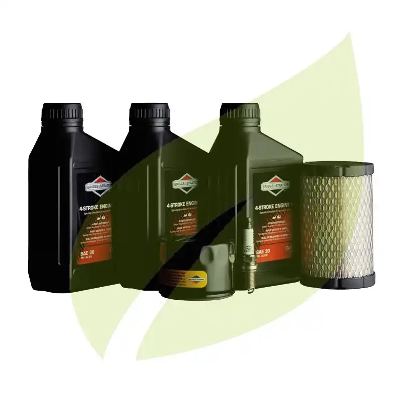 Kit d‘entretien BRIGGS & STRATTON Pour Model 31, Series 4 Intek I/C OHV 31R7, 31R8, 31R9 Achat Immédiat