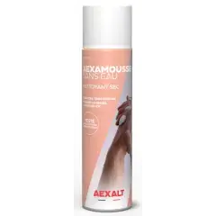 Jusqu&rsquo;à Épuisement Des Stocks Nettoyant Aexamousse sans eau main sec aérosol de 250ml – AEXALT – MS614