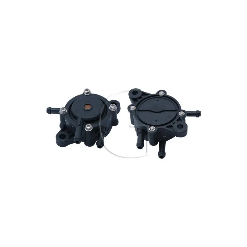 Livraison Express Pompe à essence compatible moteur KOHLER 2439316S