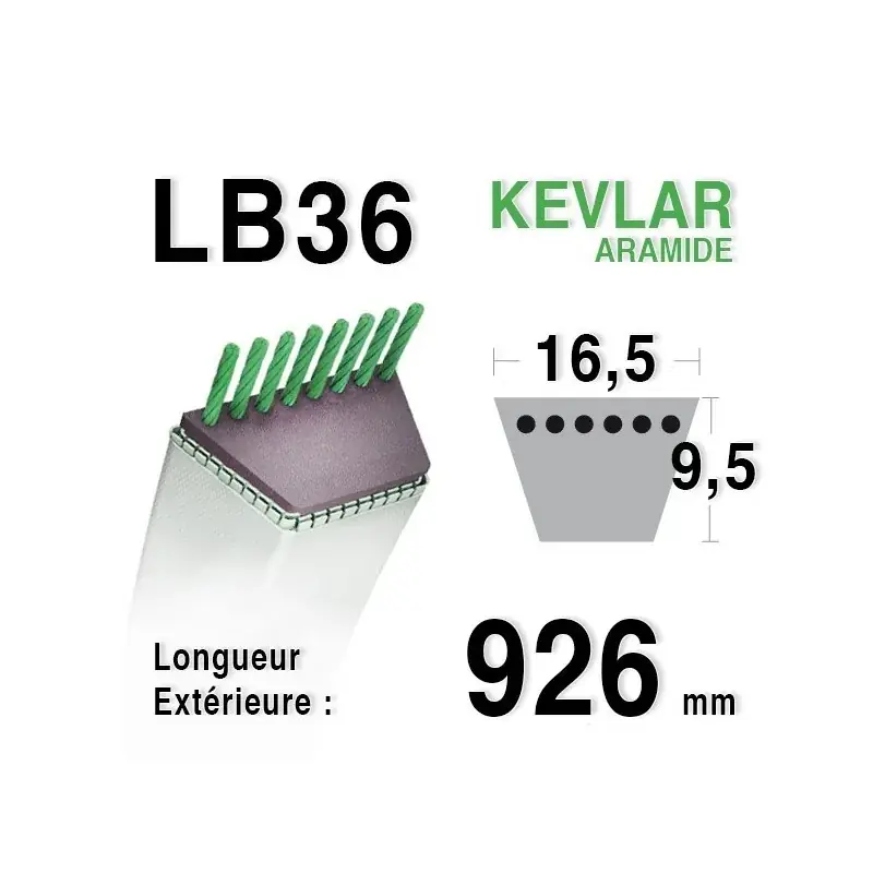 Courroie lb36 – 16,5 mm x 926 mm Quantité Limitée