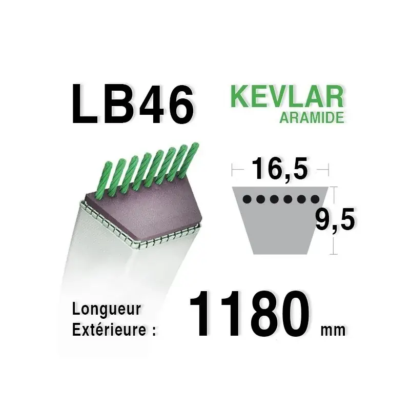 Courroie lb46 – 16,5 mm x 1180 mm Must-Have