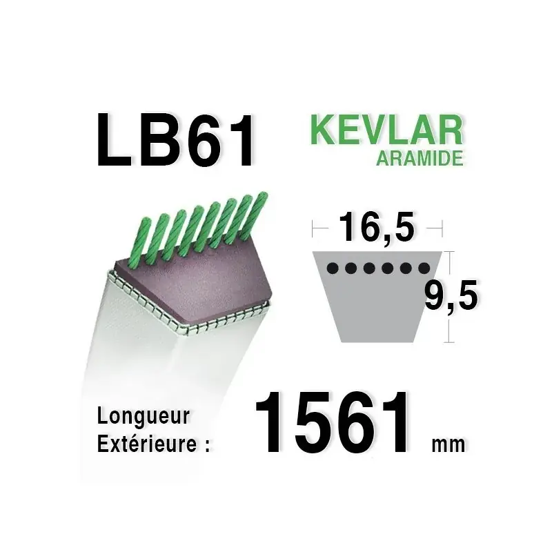 Courroie lb61 – 16,5 mm x 1561 mm Must-Have