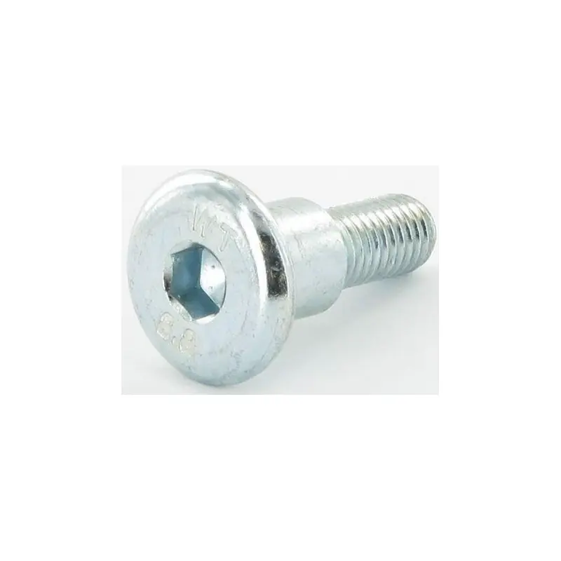 1134-6279-01 – Vis Epaulée pour Tracteur Tondeuse STIGA Authentique