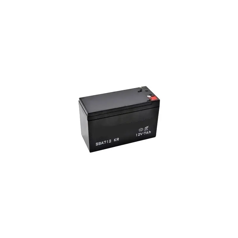 Vente Flash 118120004/0 – Batterie sèche 12V – 7AH pour Tondeuse Autoportée Castelgarden / GGP