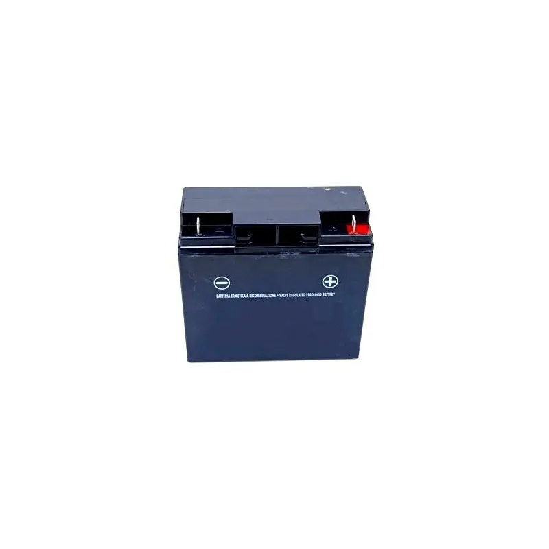 118120007/0 – Batterie sèche 12V – 18AH pour Castelgarden / GGP Prix Choc