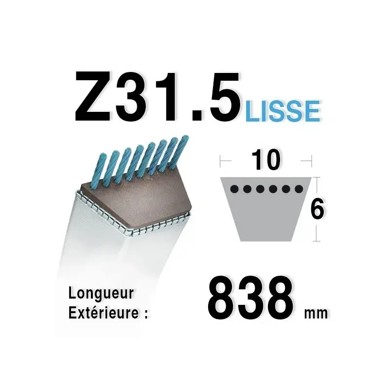 Must-Have Courroie Z31,5 – 10 mm x 838 mm