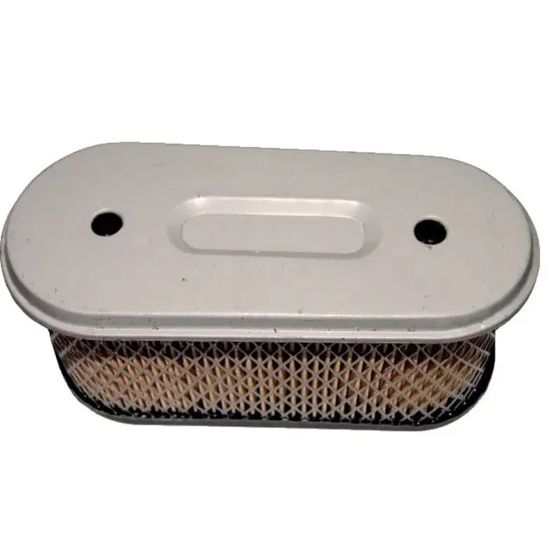 Filtre à air BRIGGS ET STRATTON 491021 Remise