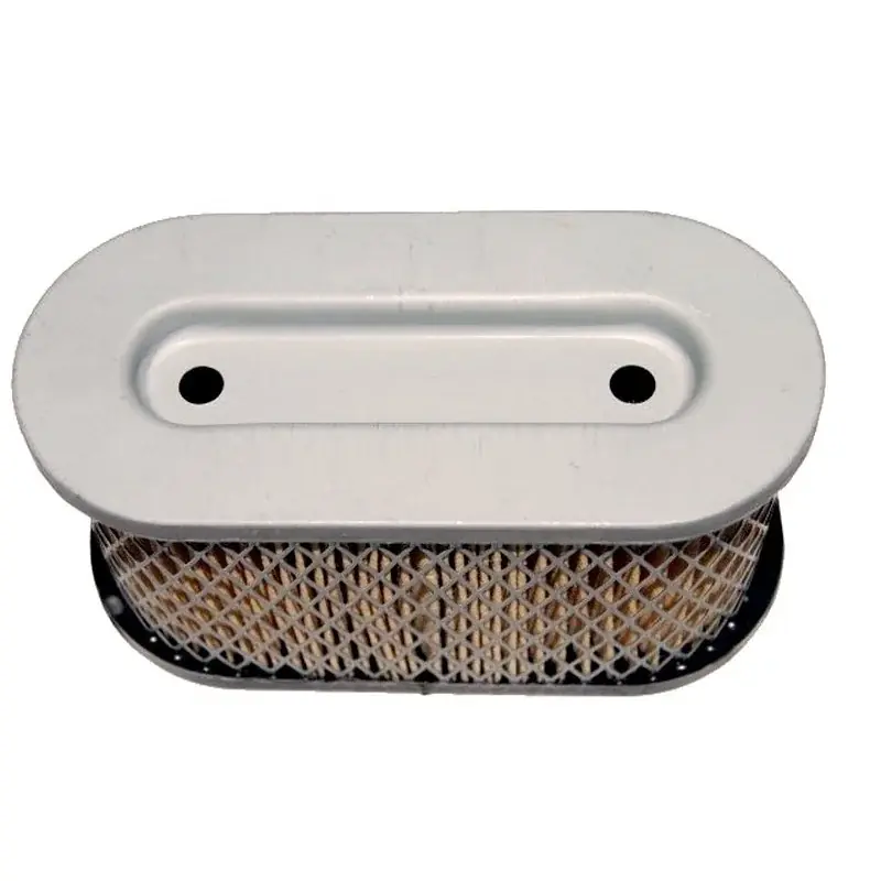 Paiement Sécurisé Filtre à air BRIGGS ET STRATTON 491950