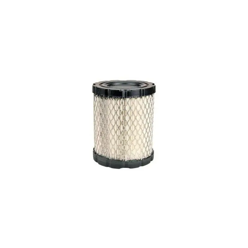 Filtre à air BRIGGS ET STRATTON 798897 Super Prix