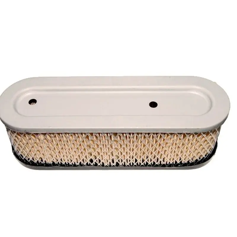 Acheter En Ligne Filtre à air BRIGGS ET STRATTON 399806 – 491519