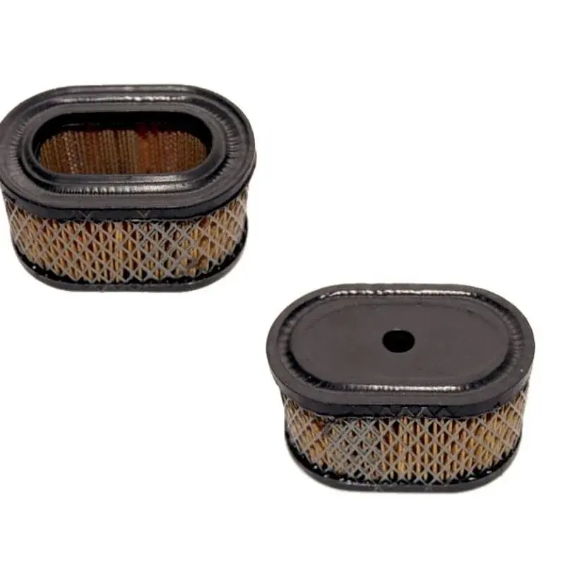 Marque Filtre à air BRIGGS ET STRATTON 494586 – 497725