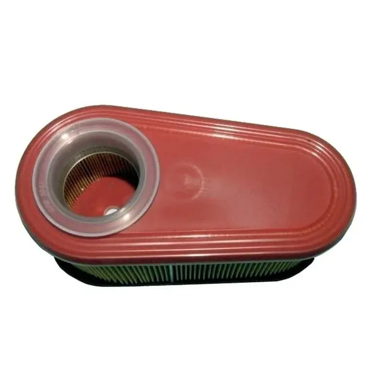 Acheter En Ligne Filtre à air BRIGGS ET STRATTON 796254 – 795066