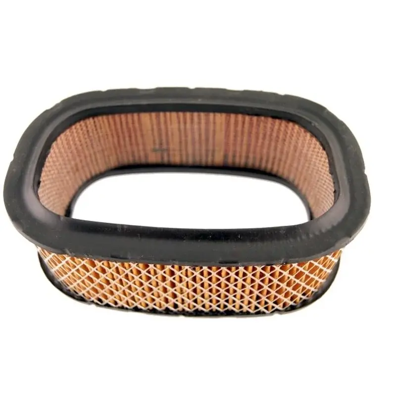 Jusqu&rsquo;à Épuisement Des Stocks Filtre à air HOMELITE 2308
