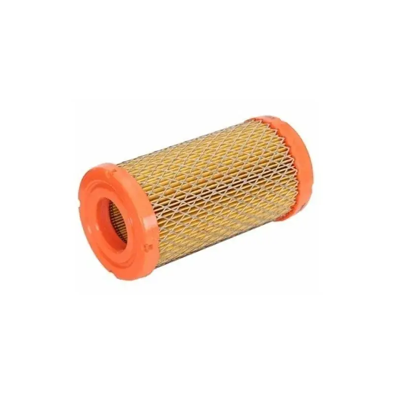 Filtre à air BRIGGS ET STRATTON 793569 – series 33 Prix Promo