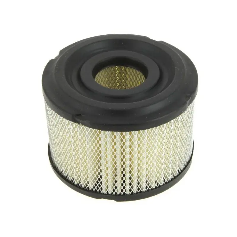 Prix Choc Filtre à air BRIGGS ET STRATTON 390492 – 496047