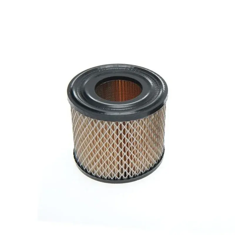Acheter En Ligne Filtre à air BRIGGS ET STRATTON 390930 – 393957