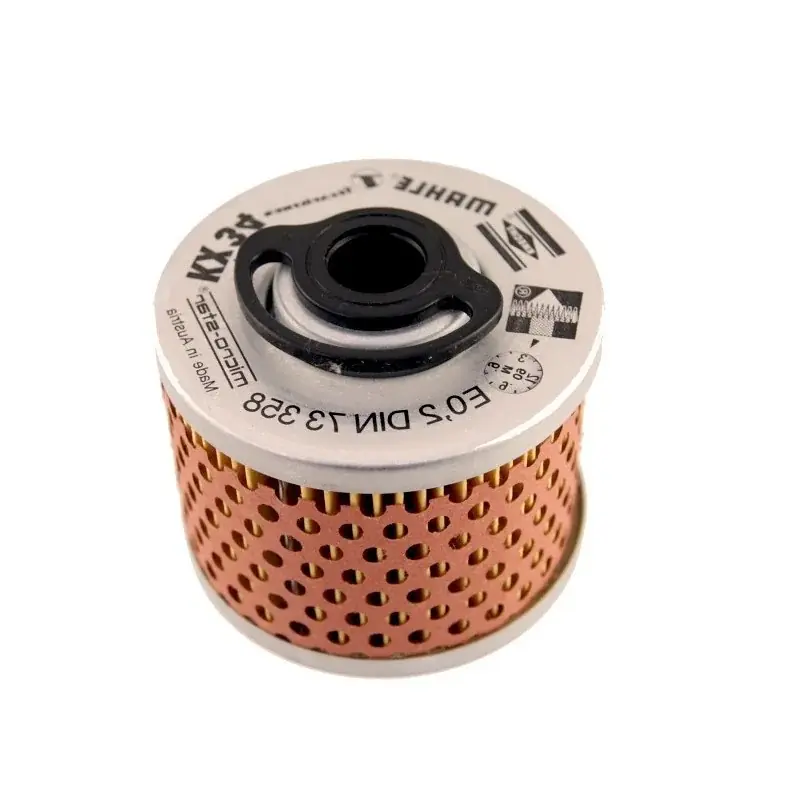 Filtre à carburant LOMBARDINI 250217541 – 250,2175,41 Quantité Limitée