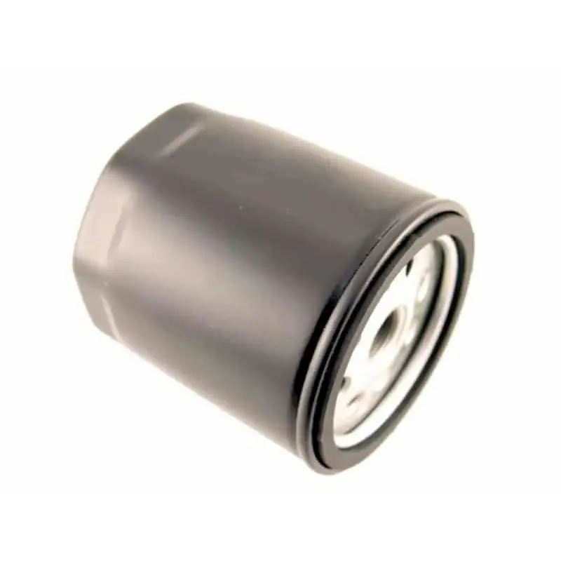 Filtre à carburant LOMBARDINI 107-3730-073 Commande En Gros