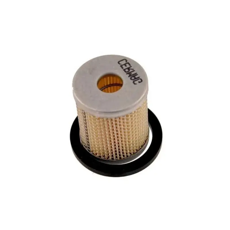 Dernière Chance Filtre à carburant LOMBARDINI 500-2175-032