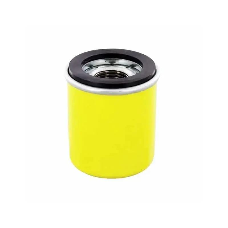 Filtre à huile BRIGGS ET STRATTON 795990 Achat Immédiat