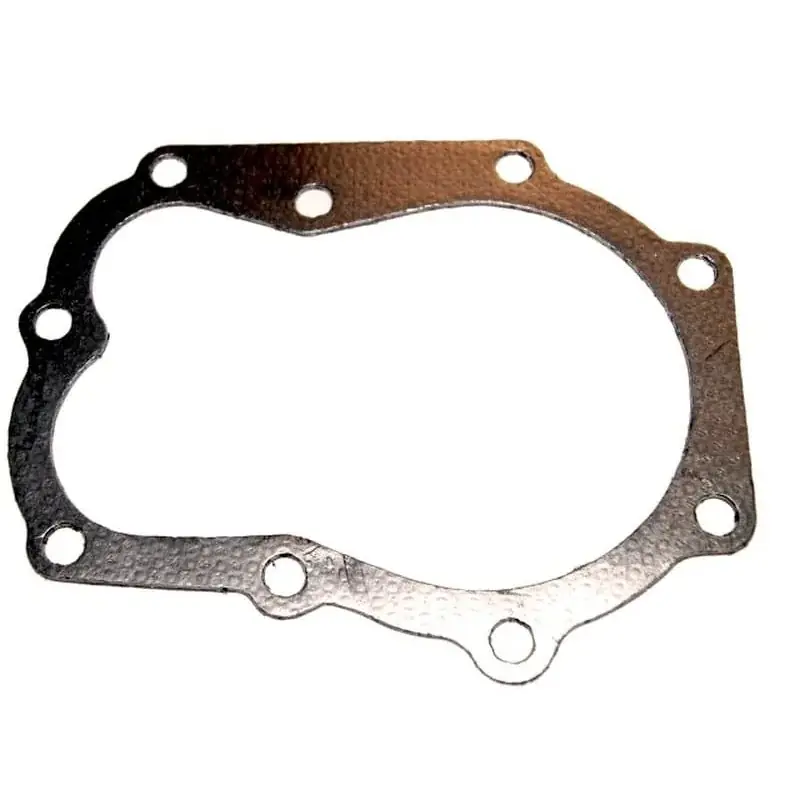 Joint de culasse BRIGGS ET STRATTON 271868 Produit De Marque