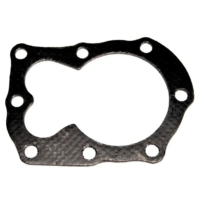 Joint de culasse BRIGGS ET STRATTON 698717 Offre Exclusive