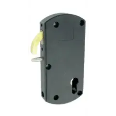 Prix Promo Serrure à mentonnet Modulox noire pour portail coulissant motorisé - TIRARD - GB592005