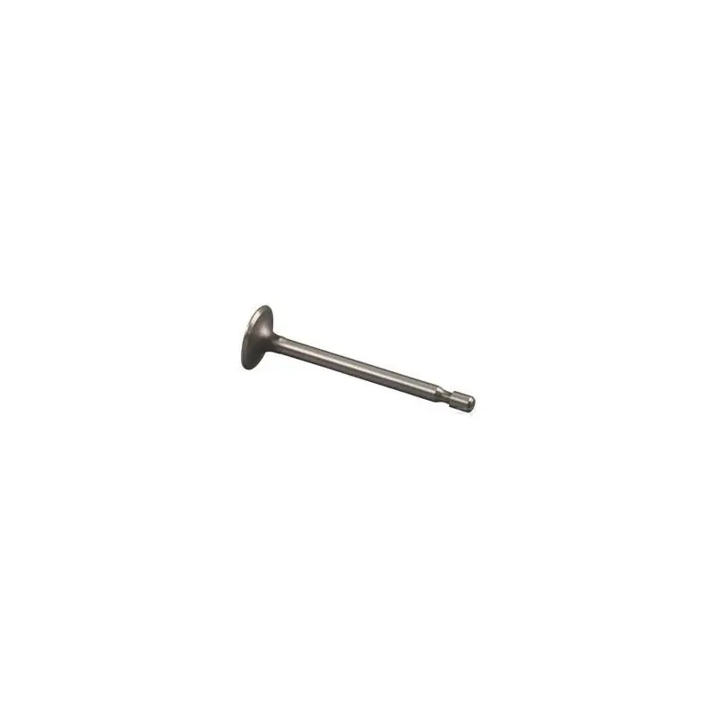 261055S – Soupape d‘admission pour moteur BRIGGS et STRATTON Must-Have
