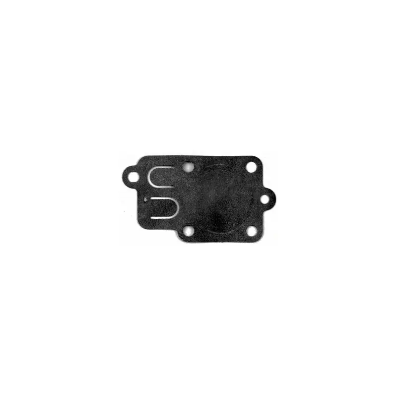 270026 – Membrane carburateur pour moteur BRIGGS et STRATTON Prix Promo