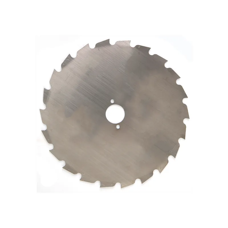 Lame débroussailleuse gouges 22 dents Ø 200 mm x 1,6 mm Alésage 25,4 mm Offre Spéciale