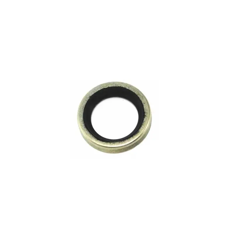 29610010 – Bague étanche pour Moteur TECUMSEH Nouvelle Collection