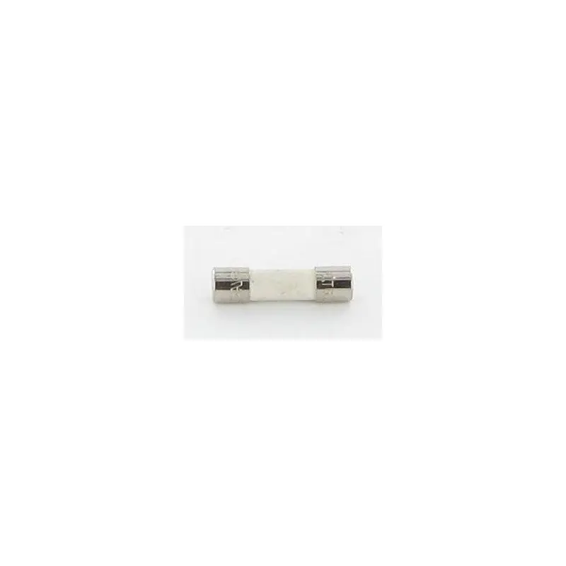 33340033/0 – Fusible 6,3Amp pour tondeuse autoportée Castelgarden / GGP Achat Immédiat