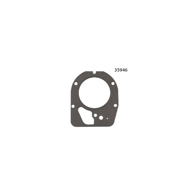 35946 – Joint de Culasse pour moteur Tecumseh Offre Exclusive