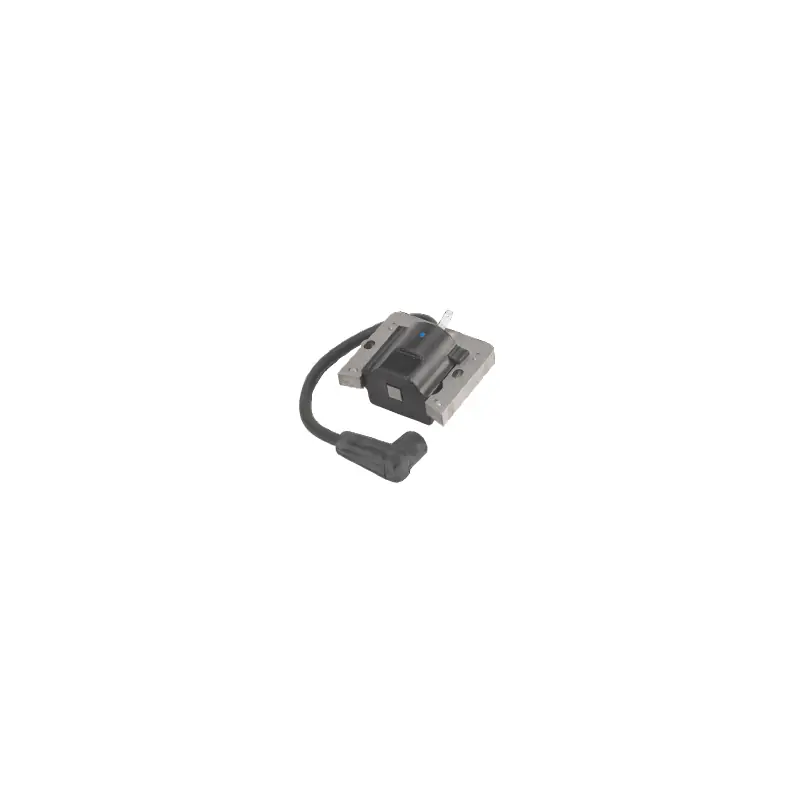 36344A – Bobine d‘allumage pour moteur TECUMSEH Achetez Aujourd&rsquo;hui