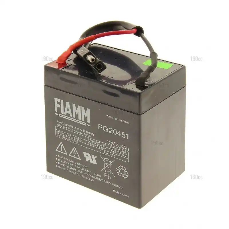 Acheter Direct Batterie de démarrage tondeuse Sworn S5355 GES