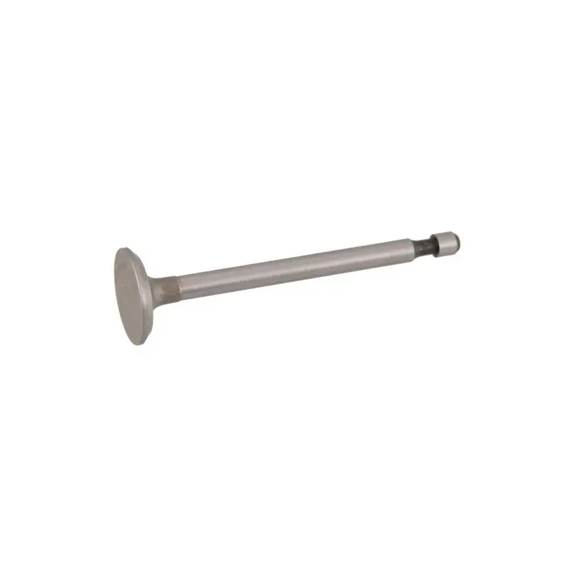 Pas Cher Soupape d‘échappement BRIGGS ET STRATTON 262246 – 262246s