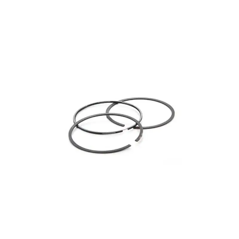 Prix Bas Segment BRIGGS et STRATTON 696403