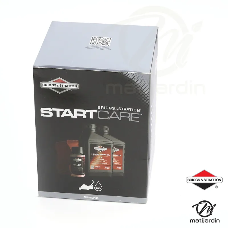 Kit entretien origine pour moteur Briggs et Stratton Promotion