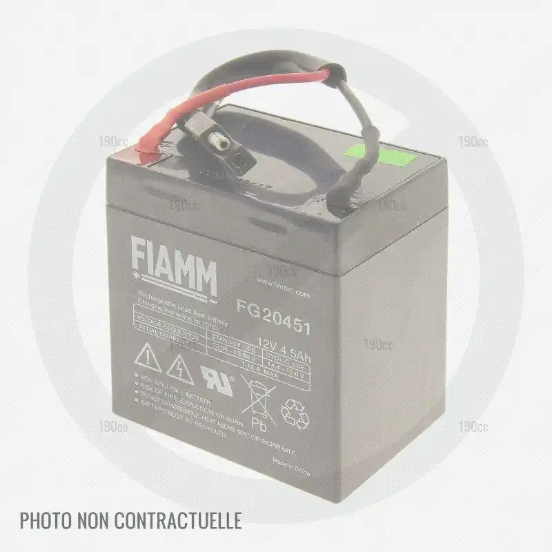 Réduction Batterie tondeuse moteur Briggs et Stratton pour Mc Culloch M51-625 CMDE et Auchan Erma ER50B51CD