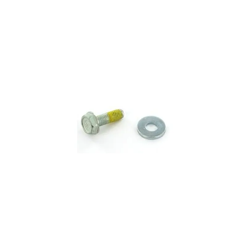 490875 – Vis pour moteur BRIGGS et STRATTON Promotion Saisonnière